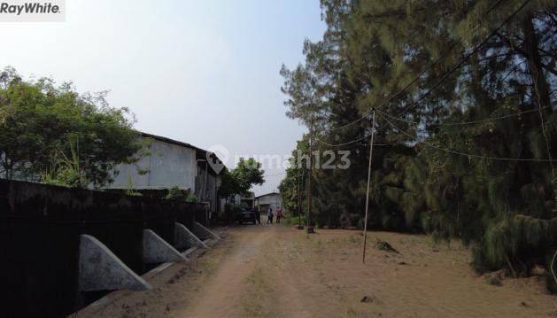 FOR SALE Murah Pabrik Aktif dan Gudang di Neglasari Tangerang 2