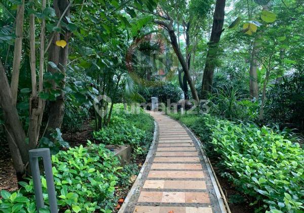 Apartemen Sherwood Residence Tower Regent 2 Kamar Tidur Lantai 10 2