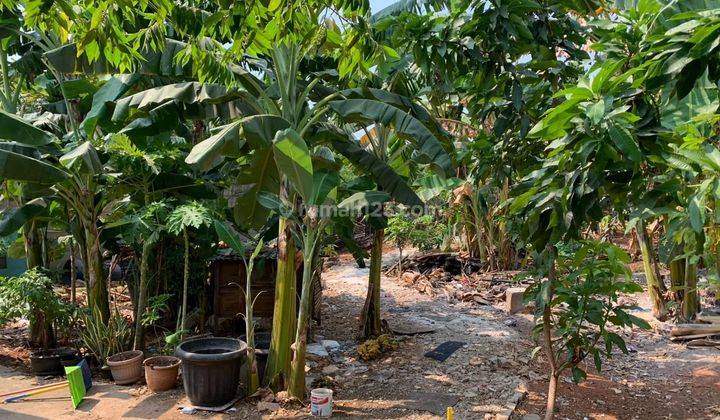 LAHAN JAUH  DI BAWAH NJOP di Jl Yos Sudarso,Tanjung Priok,Jakut 2