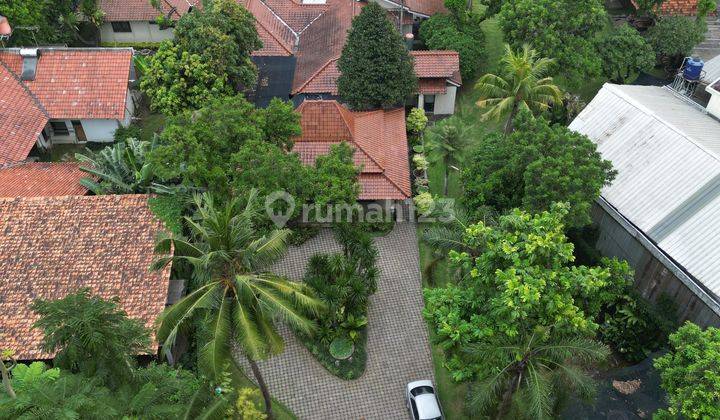 RUMAH ETNIK JAWA TANAH LUAS DI ANDARA,DEPOK 2