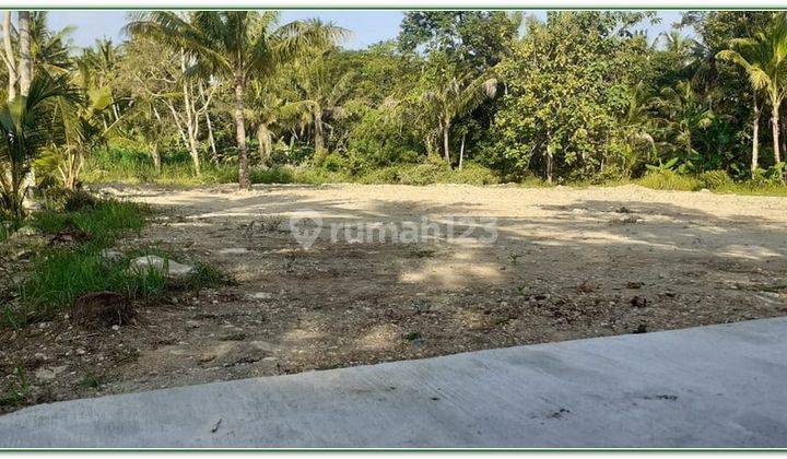 Dijual Tanah Kulonprogo di Pengasih Lingkungan Perumahan 4