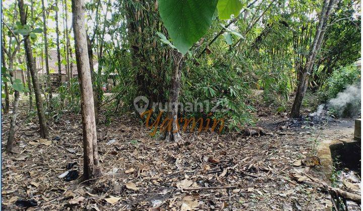 Tanah Dijual Utara Smp N 1 Moyudan Sleman, Harga Murah 3