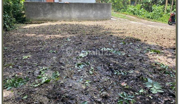 Tanah Murah Sleman Barat Kampus Umy 3