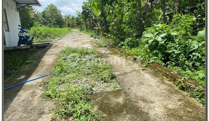 Tanah Murah Sleman Barat Kampus Umy 7