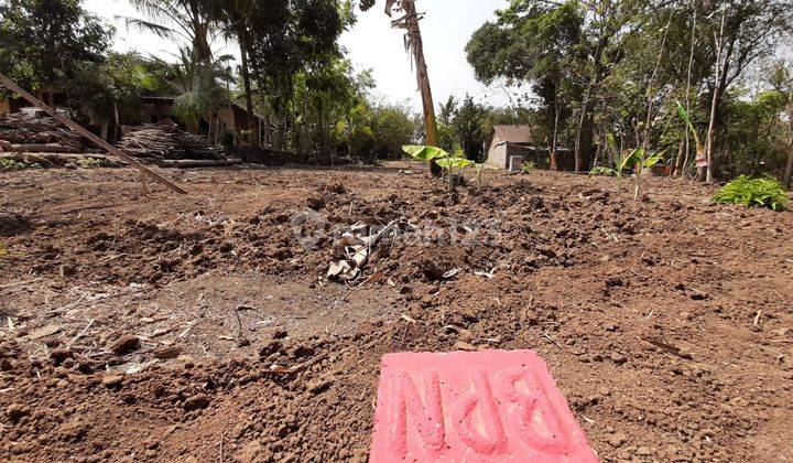 Tanah Dijual Ready SHM Sleman Gamplong Moyudan 5
