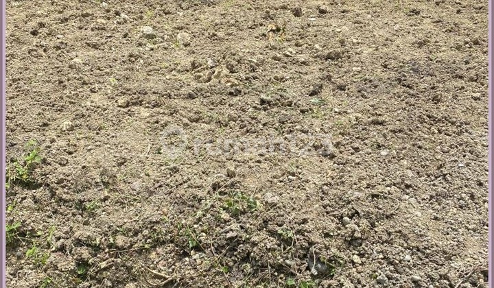 Tanah di Sleman Dekat Spbu Ambarketawang Tepi Jalan Aspal 6