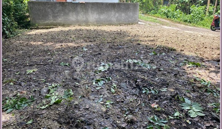 Jual Tanah Sleman Jalan Wates Km 7 Siap Bangun 11