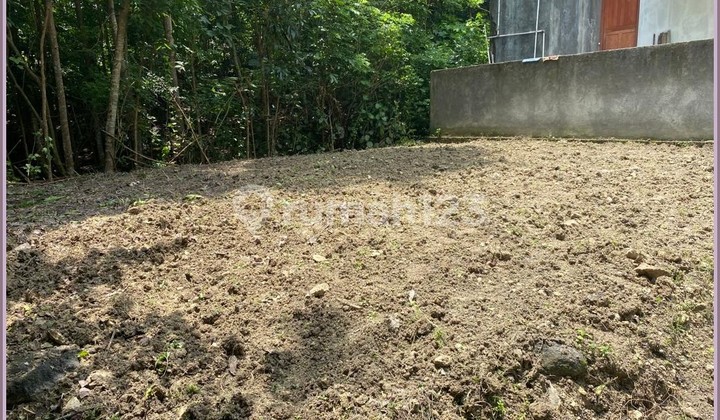 Jual Tanah Sleman Dekat Kampus Umy Siap Ajb 2