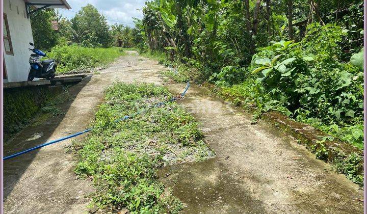 Jual Tanah Sleman Dekat Kampus Umy Siap Ajb 9