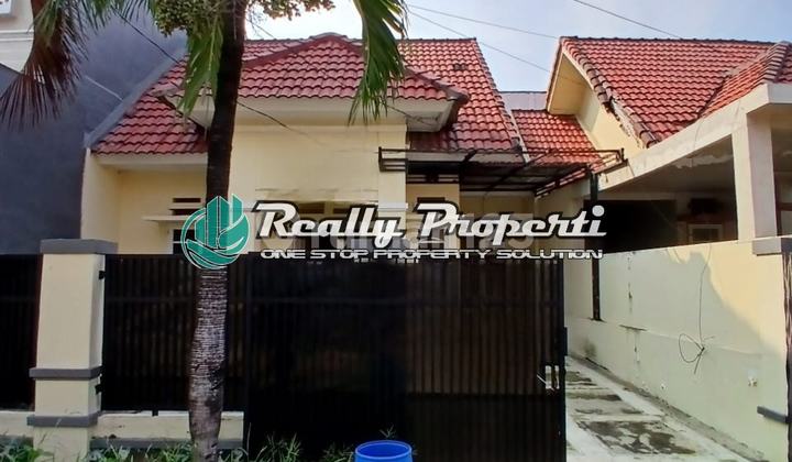 Rumah Cluster Shm Murah di Setia Darma Tambun Selatan Bekasi Rumah Cluster Shm Murah di Setia Darma Tambun Selatan Bekasi