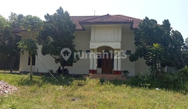 LAND & BUILDING IN LUMAJANG, EAST JAVA, SUITABLE FOR WAREHOUSE, FACTORY, PARKING LOT, ETC. LAND & BUILDING IN LUMAJANG, EAST JAVA, SUITABLE FOR WAREHOUSE, FACTORY, PARKING LOT, ETC.