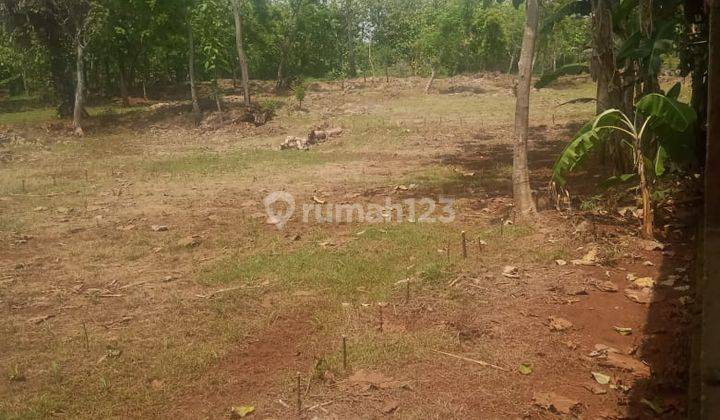 Jual Tanah Murah Lokasi Pinggir Jalan Di Palang Tuban Jawa Timur 1