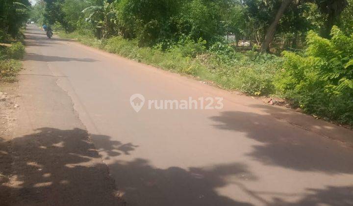 Jual Tanah Murah Lokasi Pinggir Jalan Di Palang Tuban Jawa Timur 2