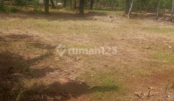 Jual Tanah Murah Lokasi Pinggir Jalan Di Palang Tuban Jawa Timur 8