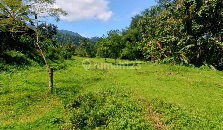 Dijual Tanah Murah Lokasi Nempel Jalan Dilimbangan Kendal 1