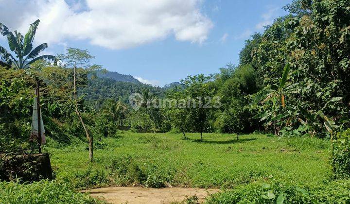 Dijual Tanah Murah Lokasi Nempel Jalan Dilimbangan Kendal 2