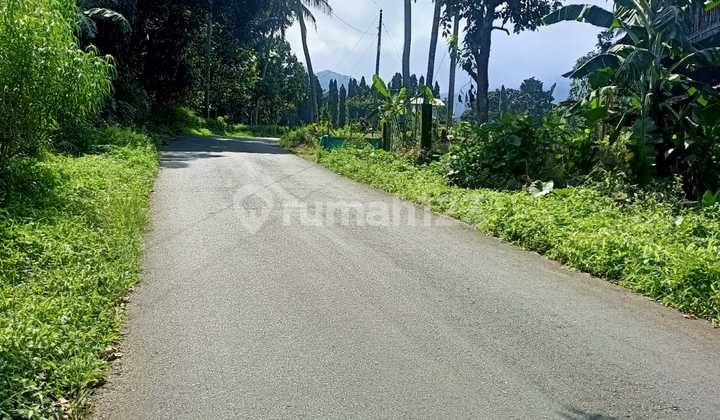 Dijual Tanah Murah Lokasi Nempel Jalan Dilimbangan Kendal 3