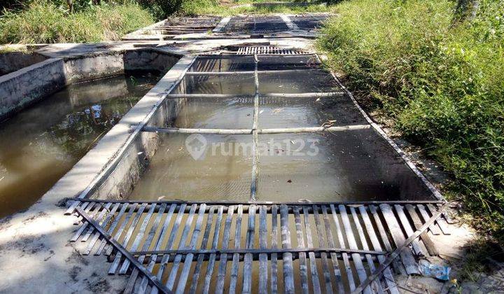 Dijual Tanah Dengan View Pegunungan, Situ Udik Bogor 6