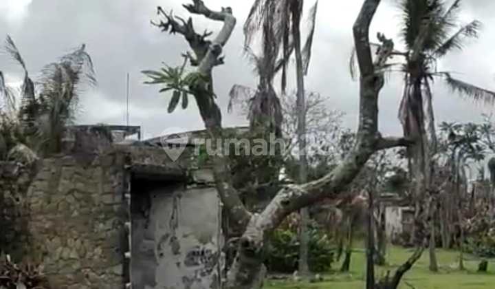 Rare Absolute Beach Front Land Cemagi