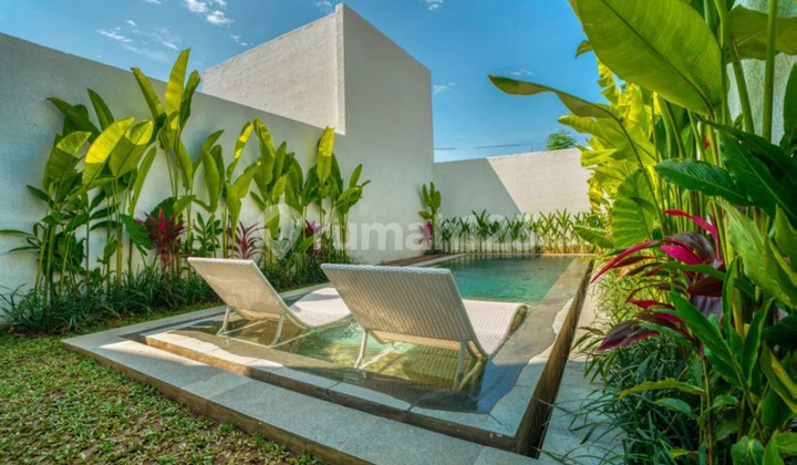 Brand New 2 Bedroom Villa Near The Beach Brand New 2 Bedroom Villa Near The Beach