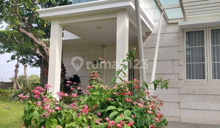 Pakuwon City Mewah Fully Furnished 11