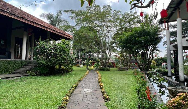 Hotel & Cafe Cantik Strategis di Lembang Dekat Tempat Wisata 2