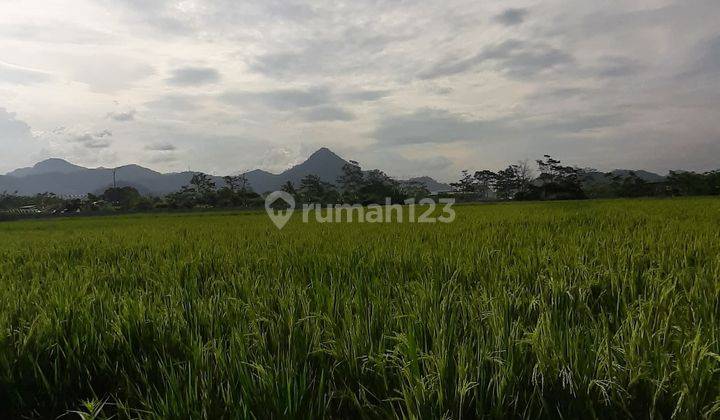 MURAH!TANAH DEKAT TAMAN KOPO INDAH V 5 MENIT PINTU TOL BISA UNTUK GUDANG/PERUMAHAN 1