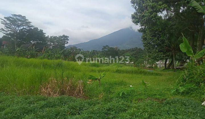 Tanah View Gunung Salak Cocok Untuk Villa Cijeruk Bogor Selatan 1