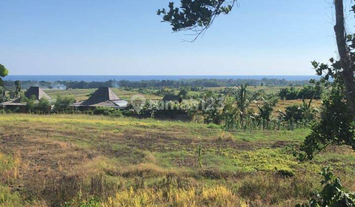 Tanah di Desa Tangguntiti Tabanan Bali SHM View Sawah Dan Laut 1