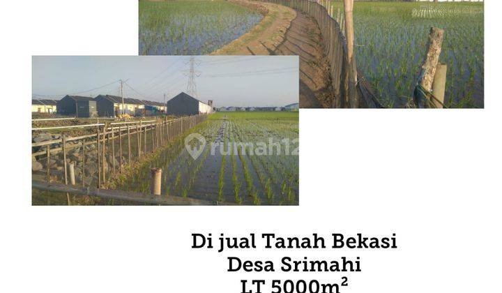 Tanah di Bekasi, desa Srimahi 1