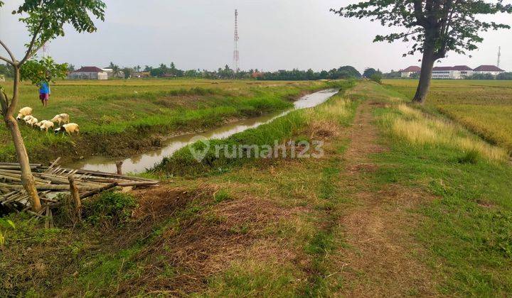 Dijual Tanah Raya Srimahi Bekasi 1