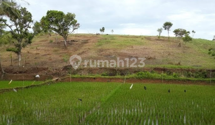 Land in Sancang Garut, Suitable for a Resort