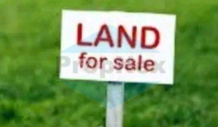 Murah Kavling Citraland Bukit Palma Main Road 2
