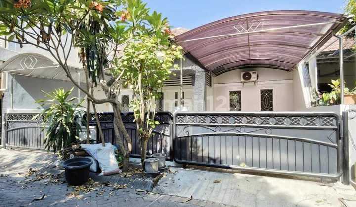 Turun Harga Hot Deal Jambangan Row Jalan Kembar