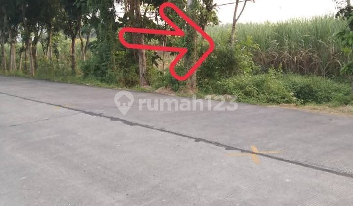 Jual Tanah Industri Kemlagi Mojokerto Jual Tanah Industri Kemlagi Mojokerto