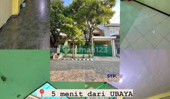 Murah Rumah Kos Aktif Rungkut Mejoyo Dekat Ubaya Tenggilis 2 Lantai 1