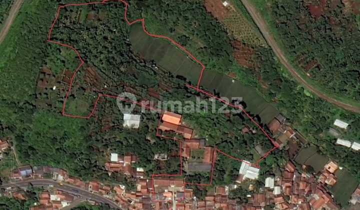 Tanah Dijual Cocok Untuk Cluter Perumahan Perkebunan di Raya Purwakarta Padalarang 1