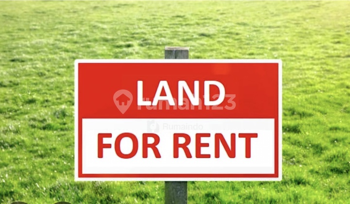 Commercial Land for Rent in Raya Dharmahusada Indah Area, Size 1000m2, Double Frontage SHM Commercial Land for Rent in Raya Dharmahusada Indah Area, Size 1000m2, Double Frontage SHM