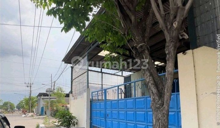 Jual Gudang Margomulyo Pemai Posisi Deoan Luas 608M2 Luas Bangunan 495M2 SHM Jual Gudang Margomulyo Pemai Posisi Deoan Luas 608M2 Luas Bangunan 495M2 SHM