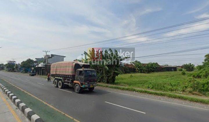 Tanah di Jln Raya Sayung, Demak 2