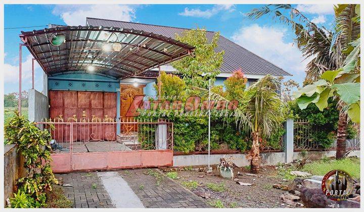 Rumah Dengan Pekarangan Luas di Kalasan 2