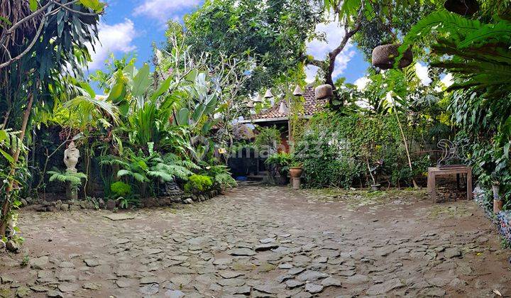 Villa + Guest House Dalam Kota Jogja 11