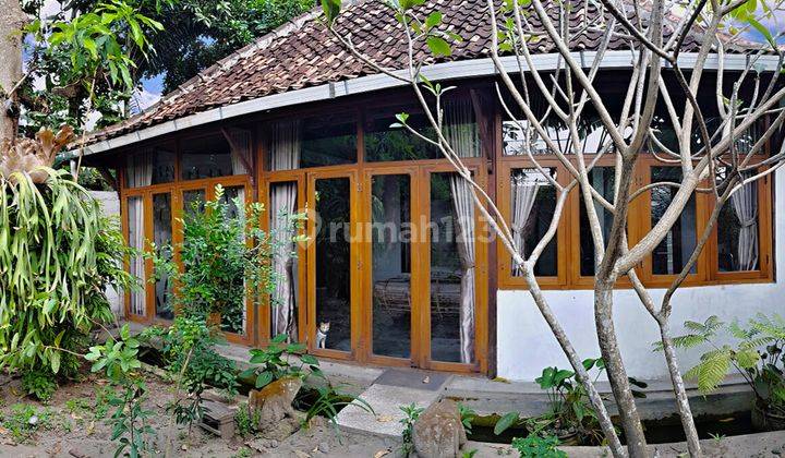Villa + Guest House Dalam Kota Jogja 15