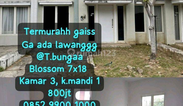 Termurah Rumah Tanjung Bunga 1