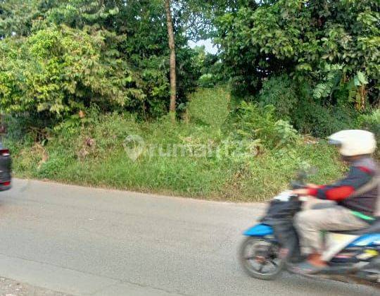 Tanah jual di ciakar pagedangan 1