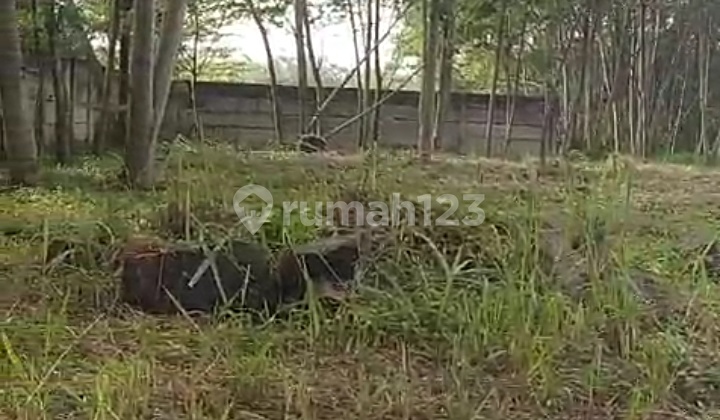 Land for Sale in Suradita Land for Sale in Suradita