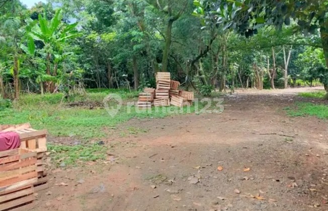 Tanah Akses Bagus di Balaraja untuk Industri Pabrik Gudang