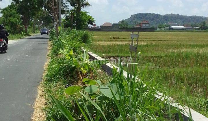 Tanah Pinggir Jalan Di Sleman Yogyakarta 2