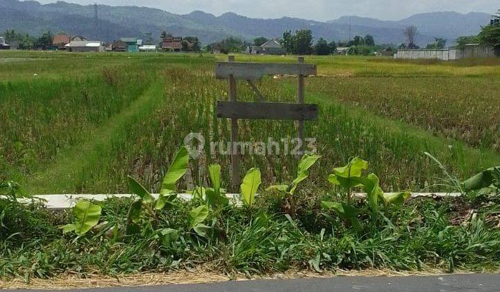 Tanah Pinggir Jalan Di Sleman Yogyakarta 1