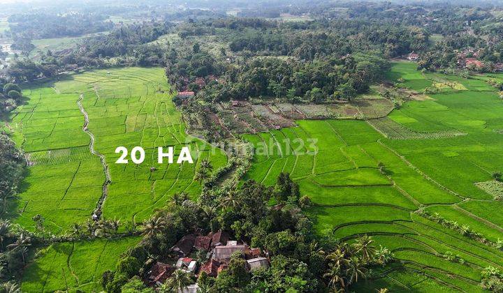 Tanah Luas Di Cianjur Cibinong Hilir Sudah SHM 1